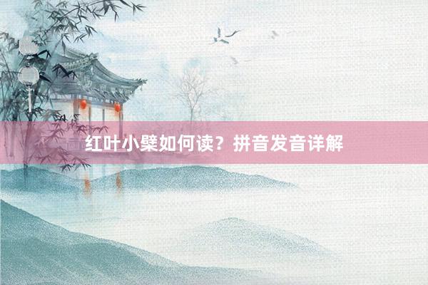 红叶小檗如何读？拼音发音详解