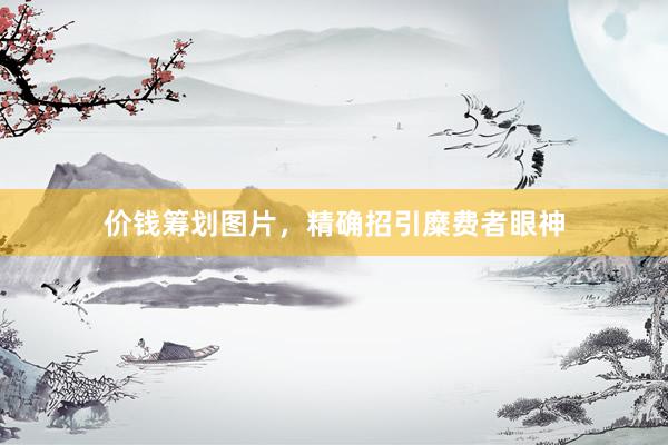 价钱筹划图片，精确招引糜费者眼神