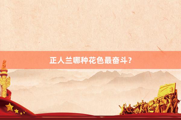 正人兰哪种花色最奋斗？