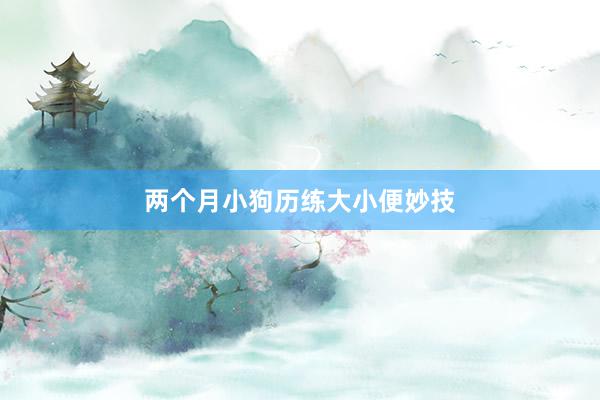 两个月小狗历练大小便妙技