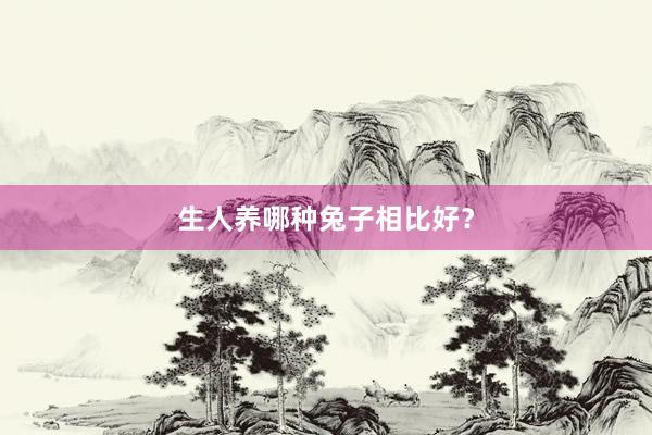 生人养哪种兔子相比好？