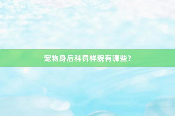 宠物身后科罚样貌有哪些？