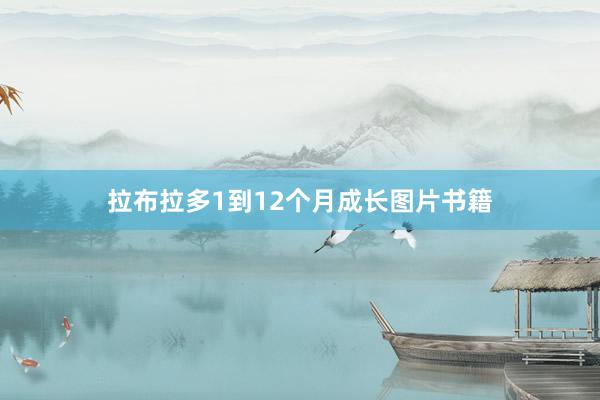 拉布拉多1到12个月成长图片书籍